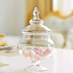 مضيفة شفافة حجم وسط