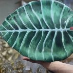 جاط ورق ميلامين أصلي