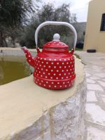 إبريق شاي توتيا حجم كبير