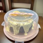 حافظة كيك ومعجنات (حجم كبير)