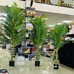 أشجار بأطوال مختلفة (الأسعار في الوصف)